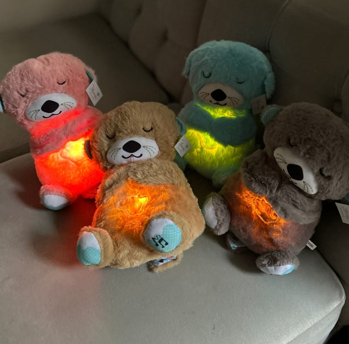 Nutria de Apego: El Refugio perfecto para la Calma y Sueño🦦💤